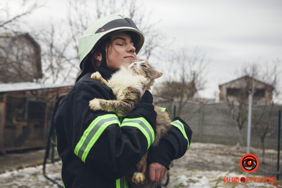 Военные, полицейские и спасатели снялись в фотосессии с бездомными животными в Днепре: классные фото 43
