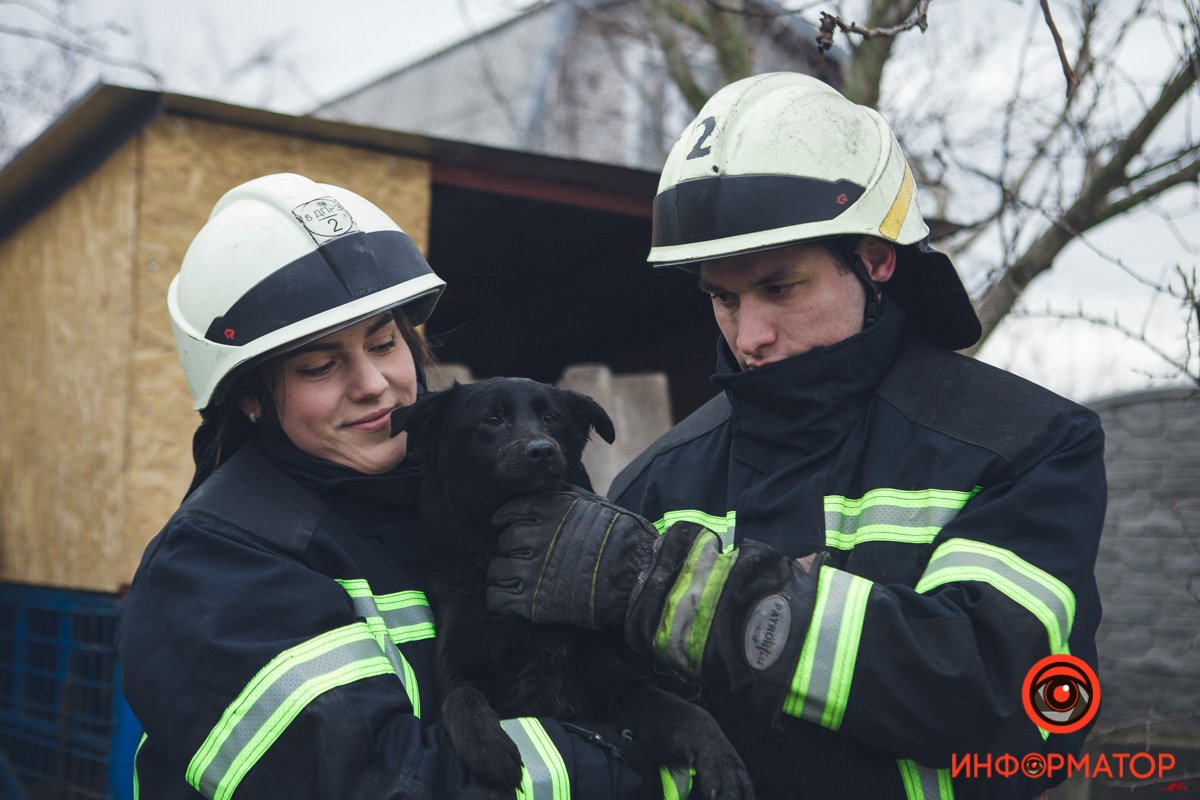 Военные, полицейские и спасатели снялись в фотосессии с бездомными животными в Днепре: классные фото 51