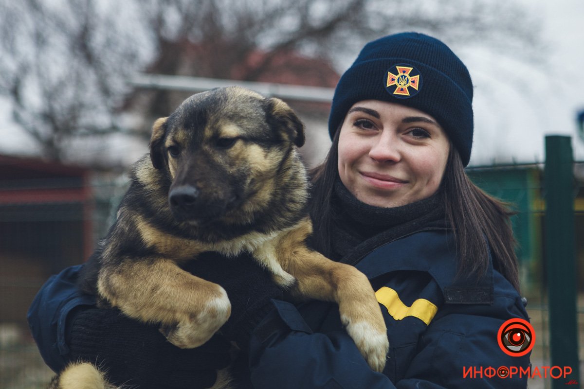 Военные, полицейские и спасатели снялись в фотосессии с бездомными животными в Днепре: классные фото 52