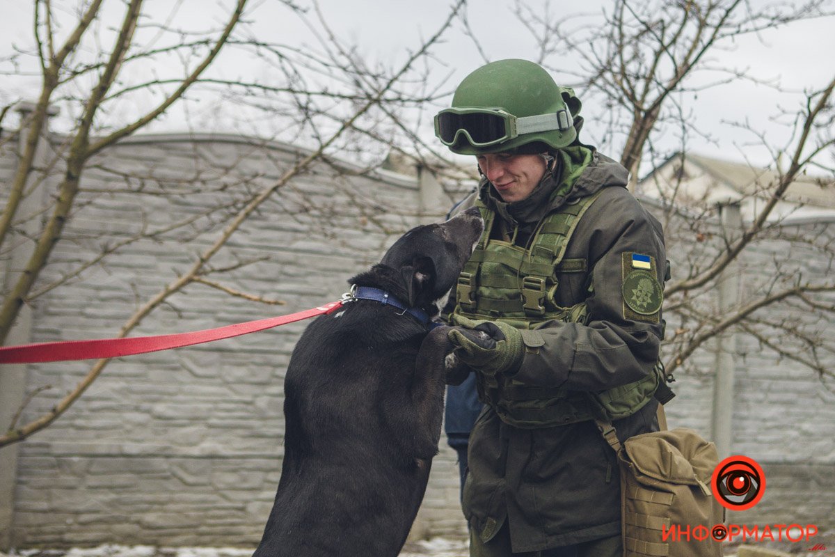 Военные, полицейские и спасатели снялись в фотосессии с бездомными животными в Днепре: классные фото 53