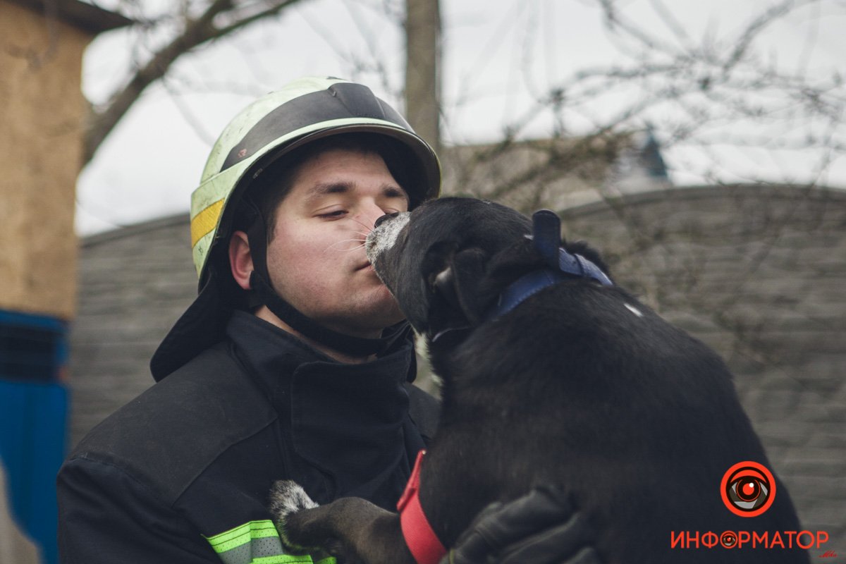 Военные, полицейские и спасатели снялись в фотосессии с бездомными животными в Днепре: классные фото 54