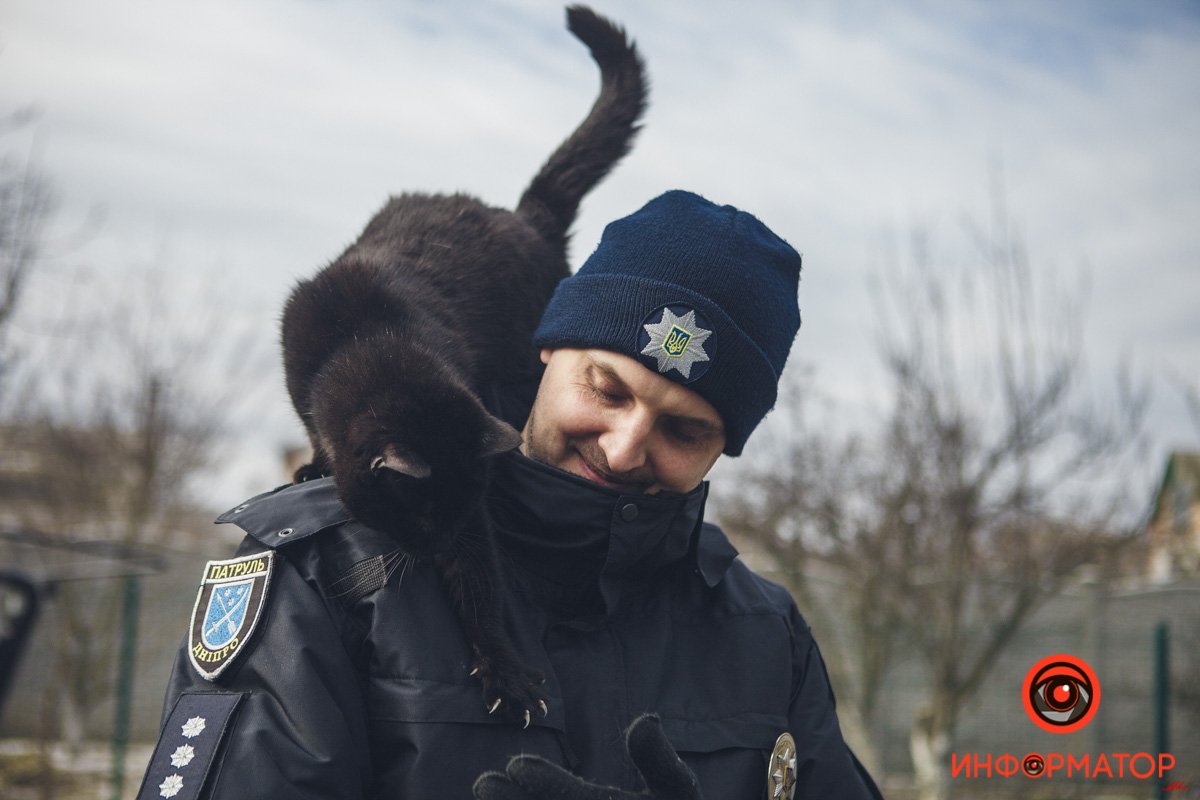 Военные, полицейские и спасатели снялись в фотосессии с бездомными животными в Днепре: классные фото 58