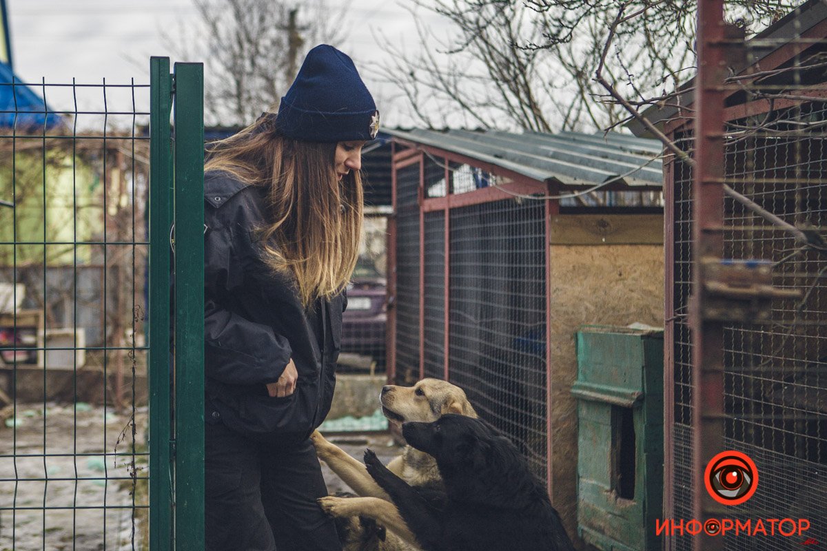 Военные, полицейские и спасатели снялись в фотосессии с бездомными животными в Днепре: классные фото 64
