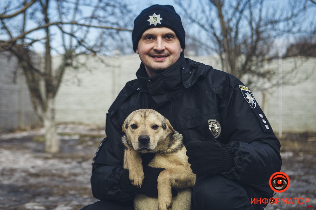 Военные, полицейские и спасатели снялись в фотосессии с бездомными животными в Днепре: классные фото 65