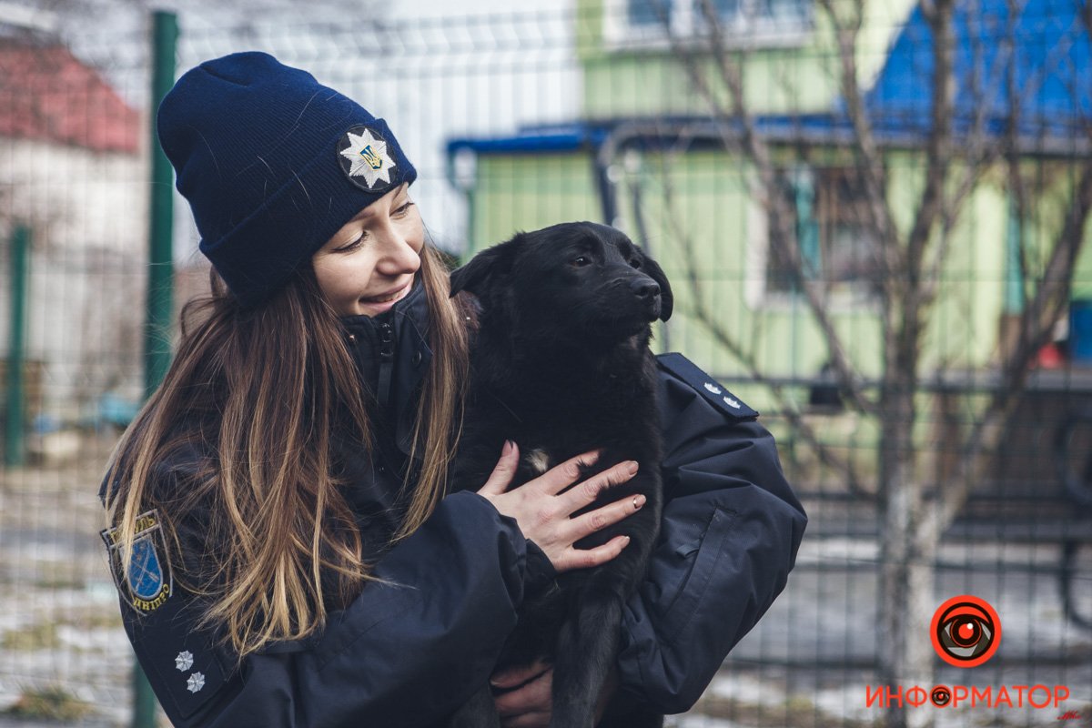 Военные, полицейские и спасатели снялись в фотосессии с бездомными животными в Днепре: классные фото 67
