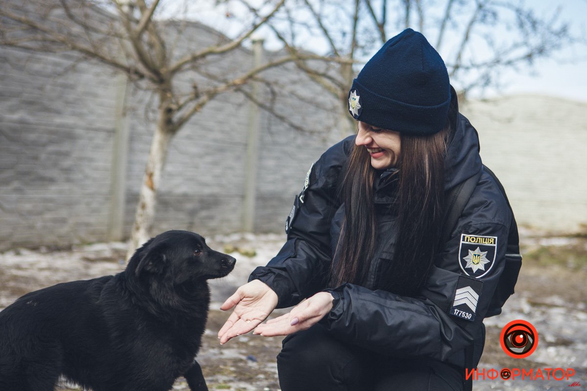 Военные, полицейские и спасатели снялись в фотосессии с бездомными животными в Днепре: классные фото 68