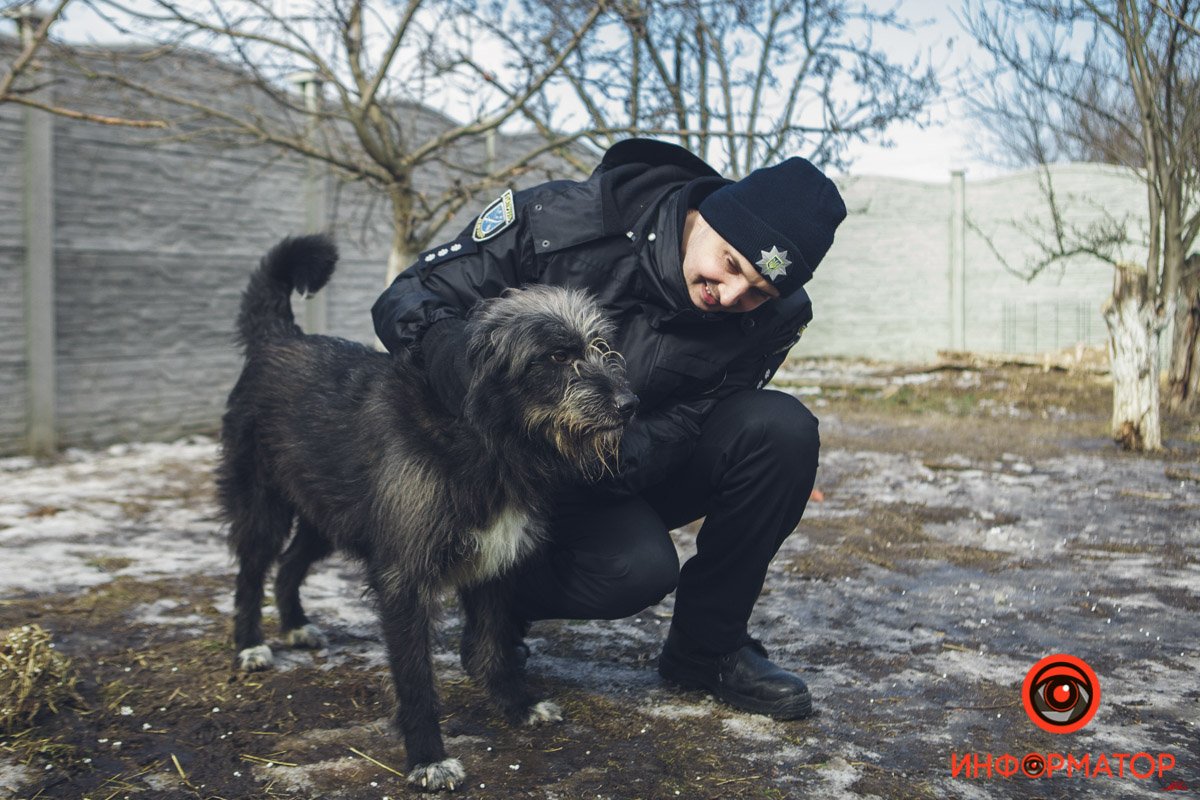Военные, полицейские и спасатели снялись в фотосессии с бездомными животными в Днепре: классные фото 69