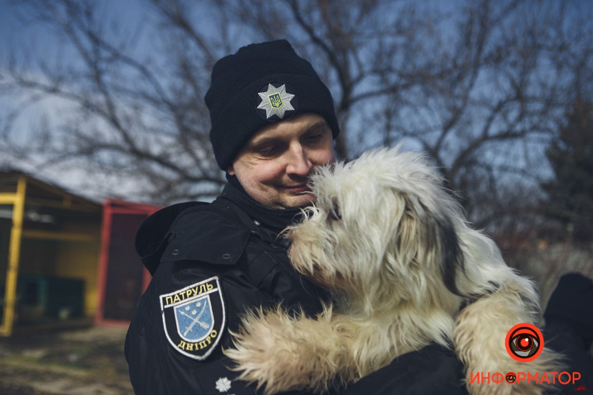 Военные, полицейские и спасатели снялись в фотосессии с бездомными животными в Днепре: классные фото 72