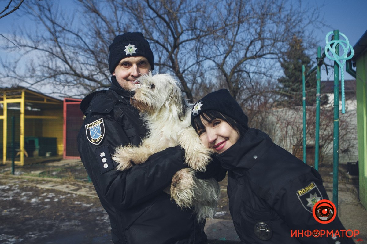 Военные, полицейские и спасатели снялись в фотосессии с бездомными животными в Днепре: классные фото 73