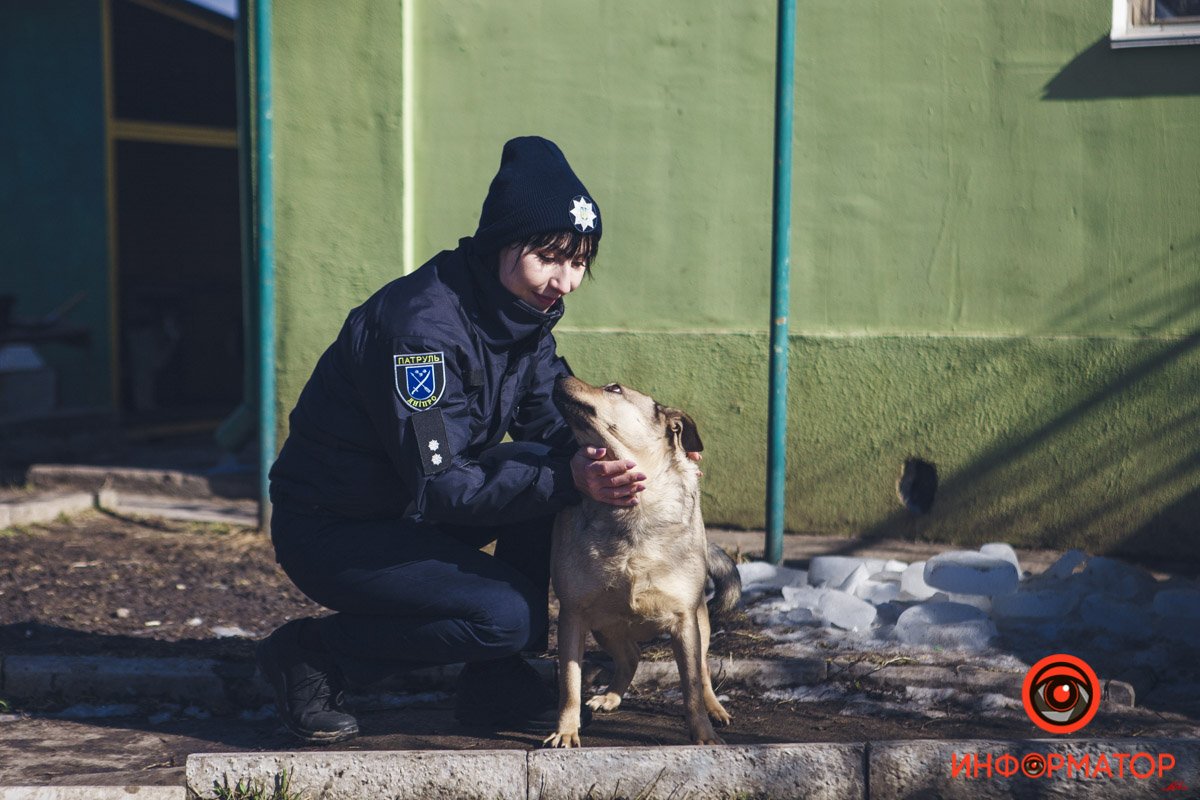Военные, полицейские и спасатели снялись в фотосессии с бездомными животными в Днепре: классные фото 75