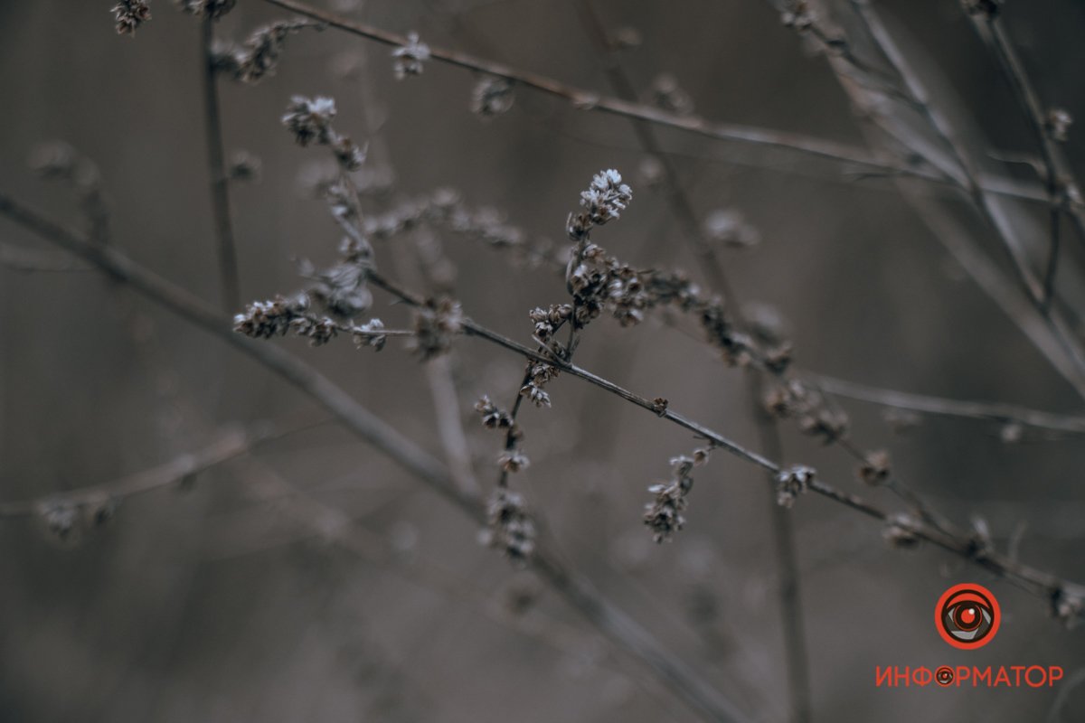 Где в Днепре спрятано сокровище Ивана Сирко 9