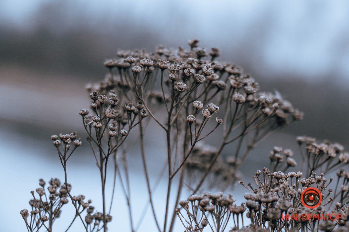 Где в Днепре спрятано сокровище Ивана Сирко 15
