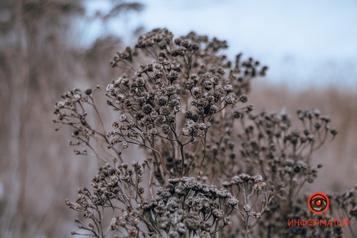 Где в Днепре спрятано сокровище Ивана Сирко 16