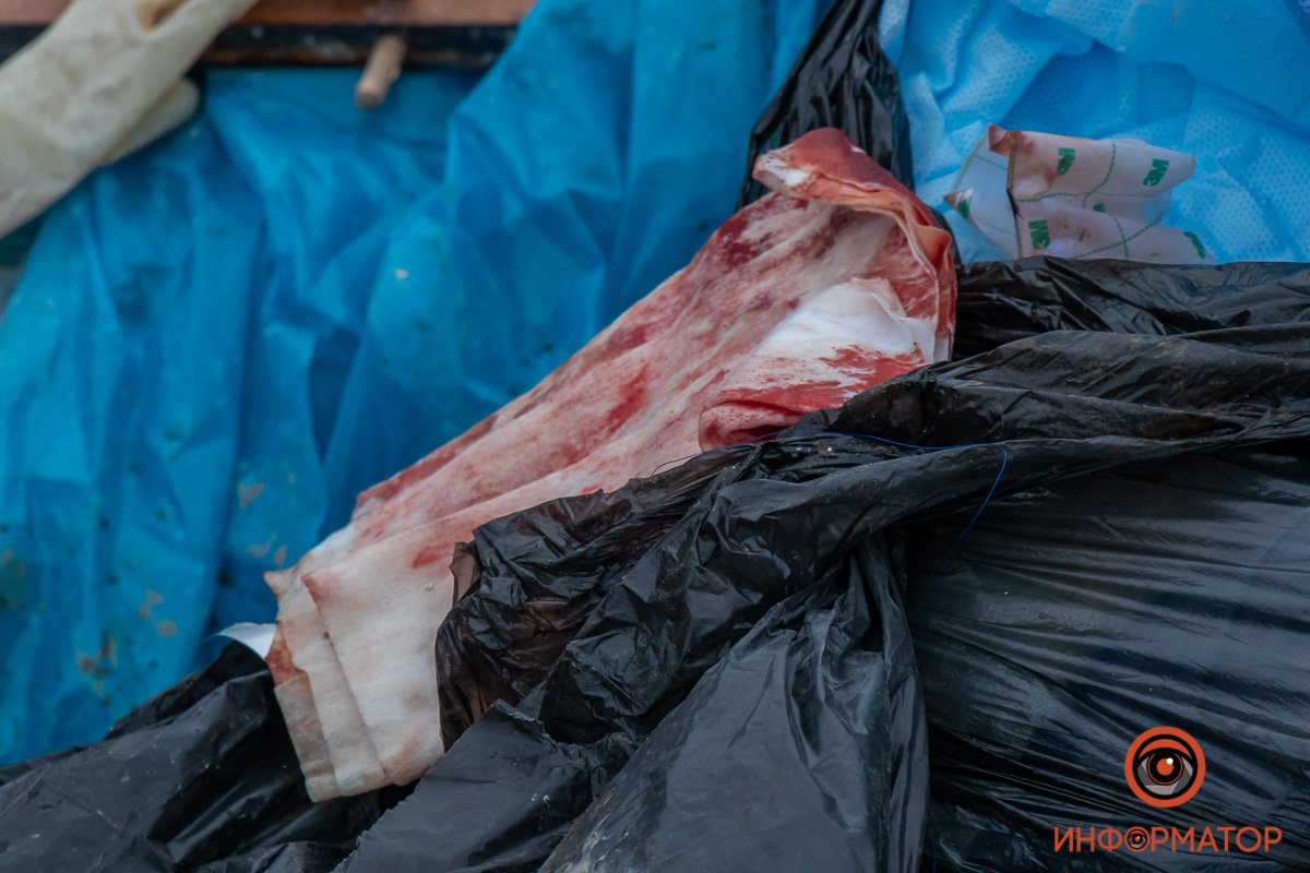 Фото: Влад Лестев Фото: Влад Лестев