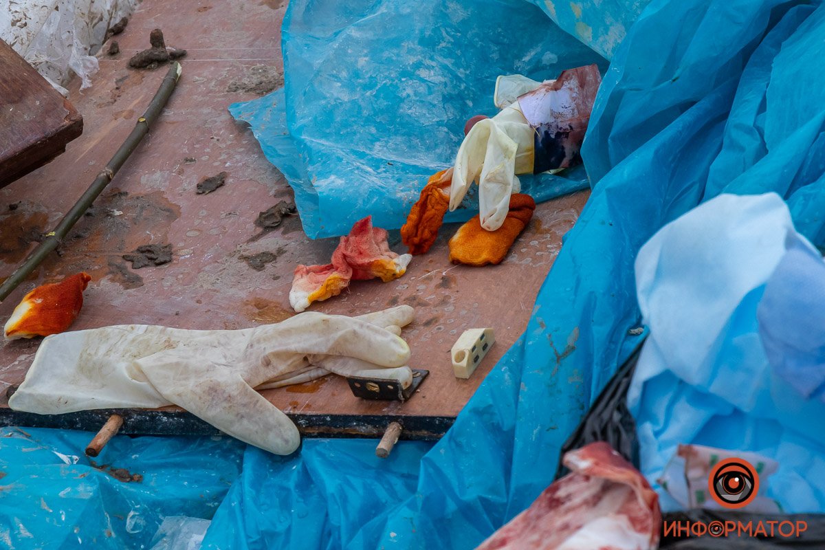 Фото: Влад Лестев Фото: Влад Лестев