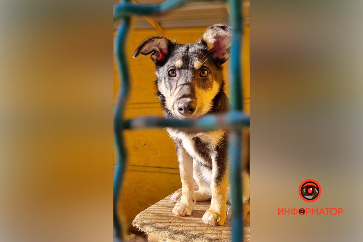 Идеи простых и необычных подарков маме на 8 марта 5