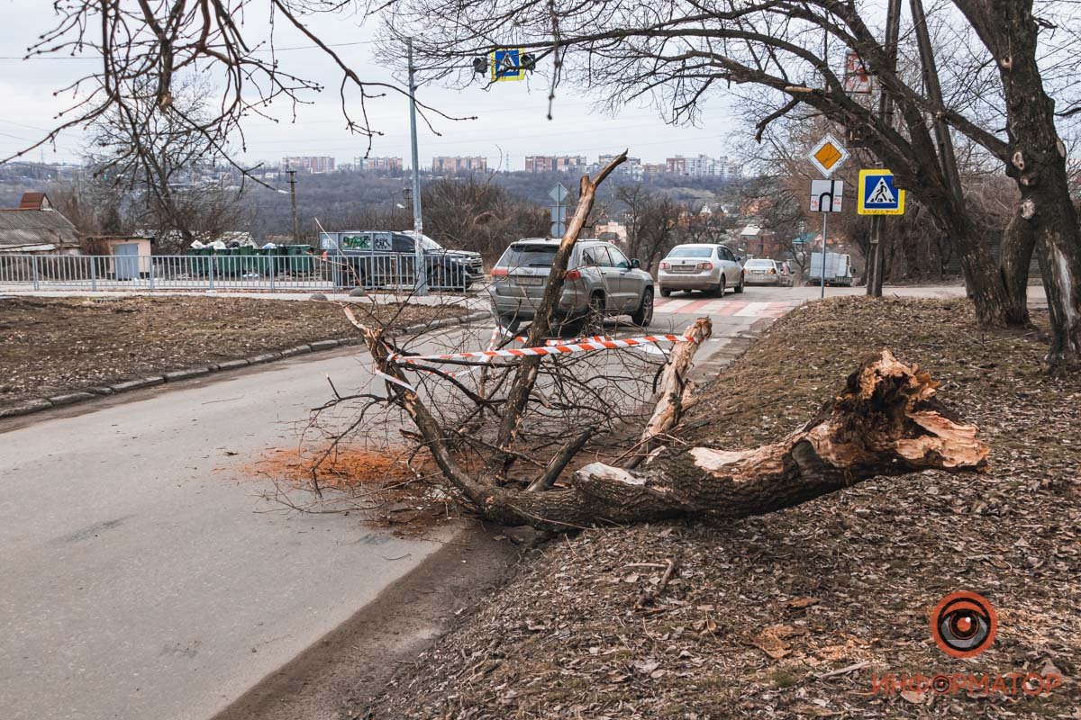 Перекресток Володи Дубинина и Лизы Чайкиной Перекресток Володи Дубинина и Лизы Чайкиной