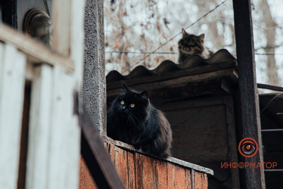 Искать друзей среди тех, кто по определению не должен им быть