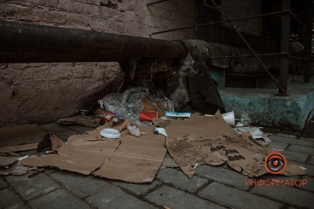 Засыпая на картоне, помнят каждого своего щенка