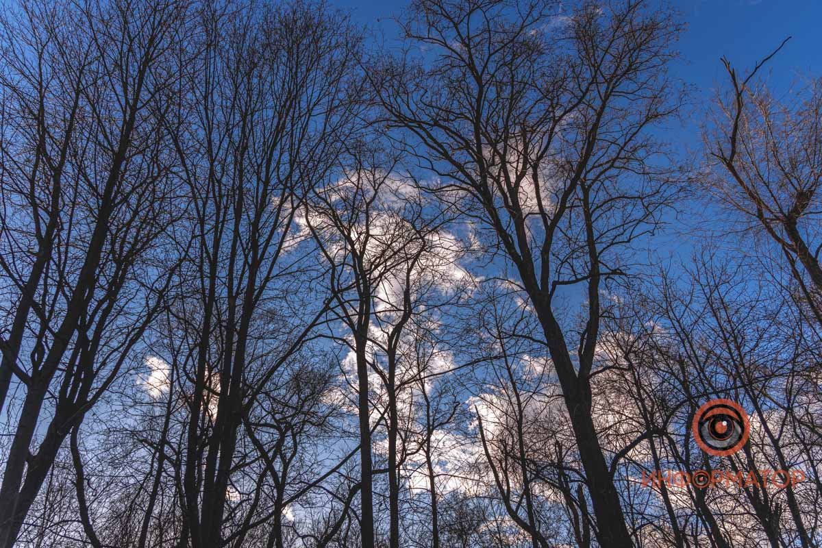 Мы уходим домой, качаясь,