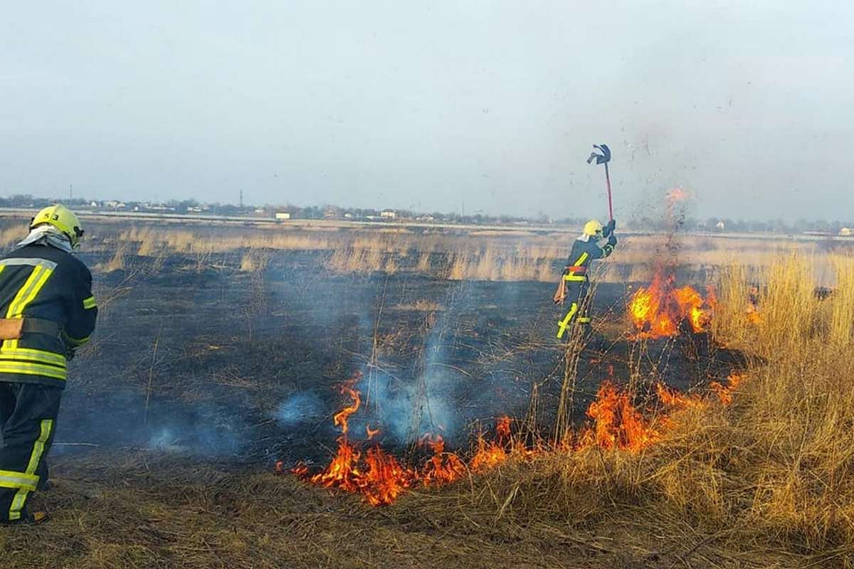 99 пожаров в экосистемах области с начала года