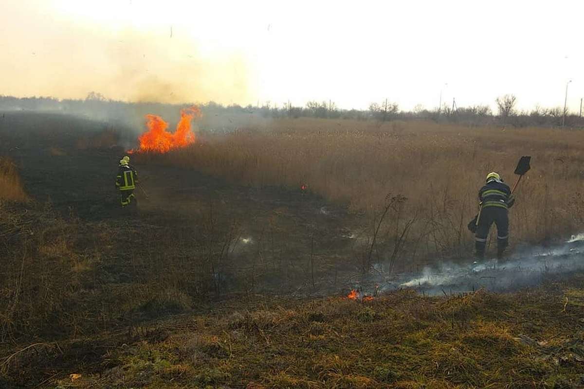10 пожаров в экосистемах за сутки, 4 марта
