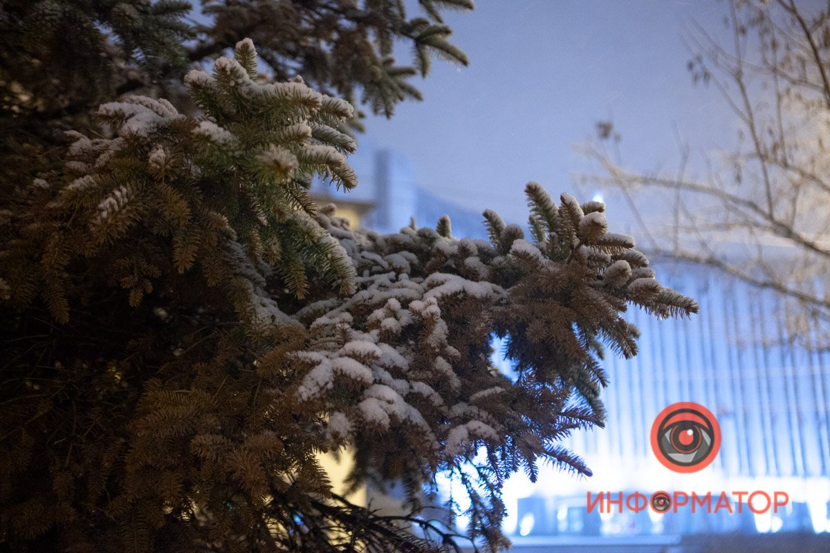 Еловые лапы снова поседели Еловые лапы снова поседели