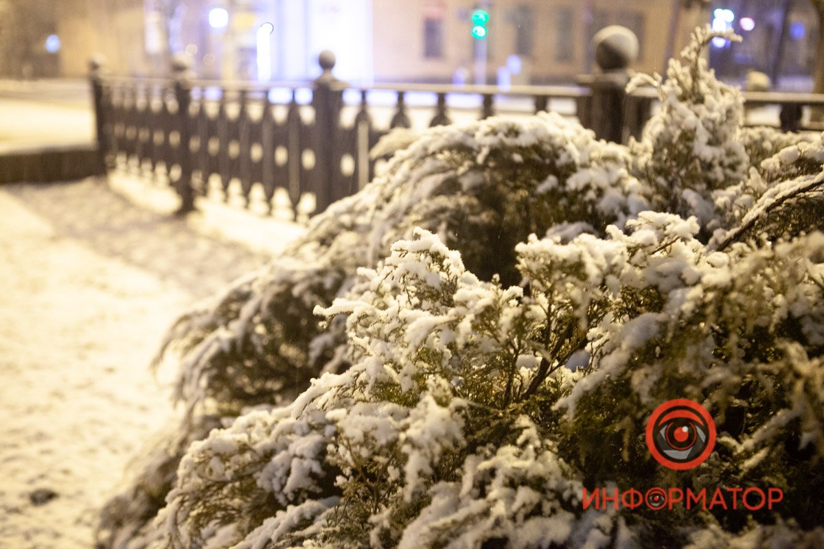 Всюду затянуло пеленой Всюду затянуло пеленой