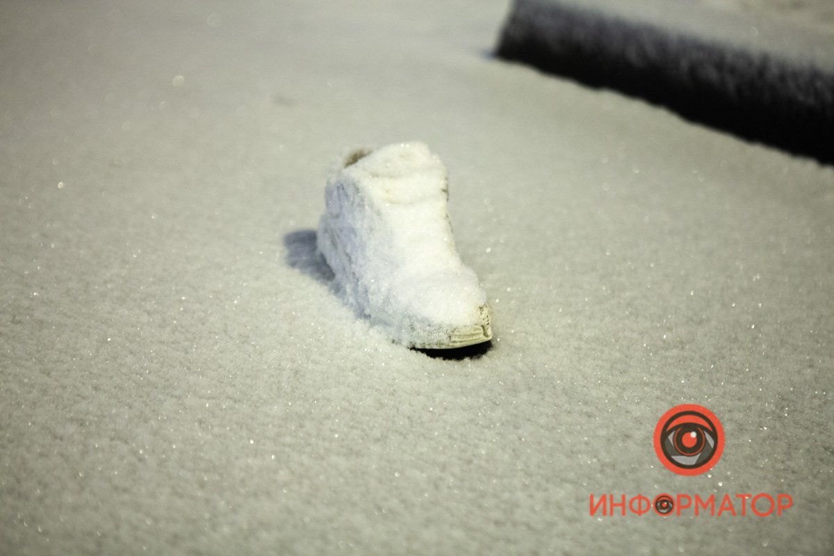 Чей потеряшка? Чей потеряшка?