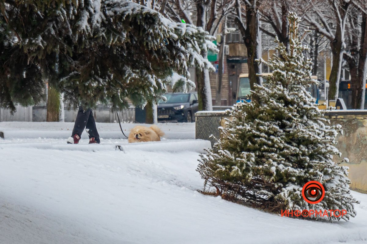 Прогулка по расписанию
