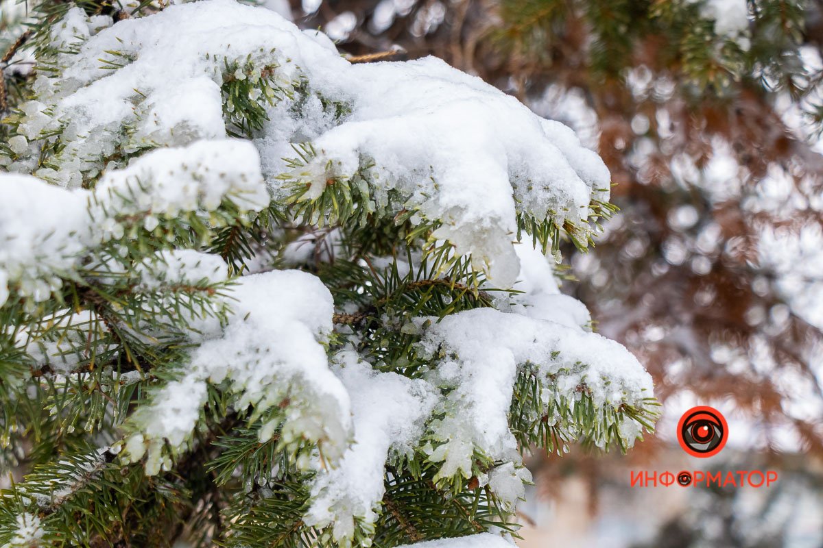 Прощальный подарок весне от зимы