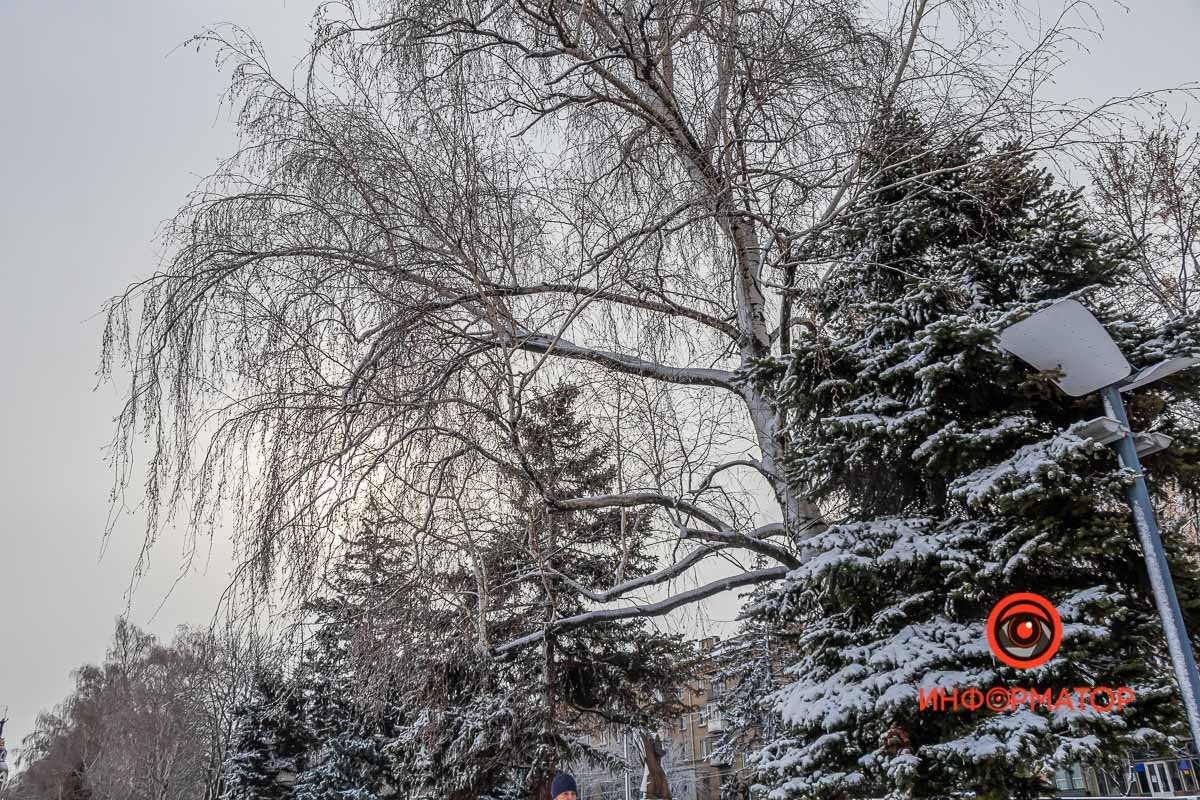 Ветки под снегом сливаются с небом