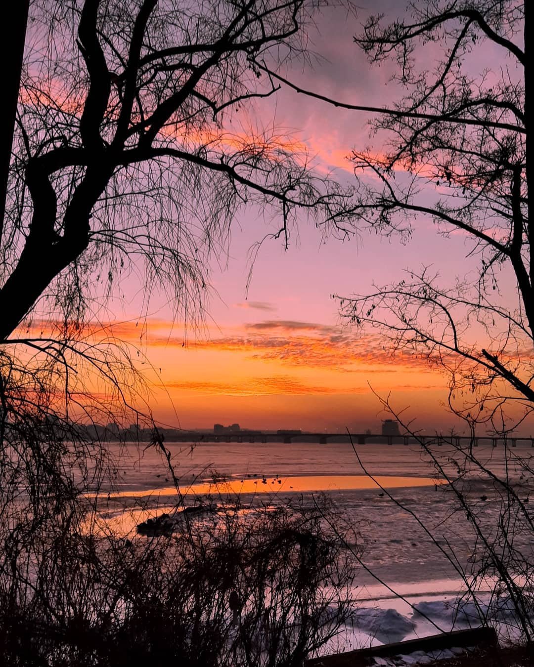 Фото: @fotoroksi1419