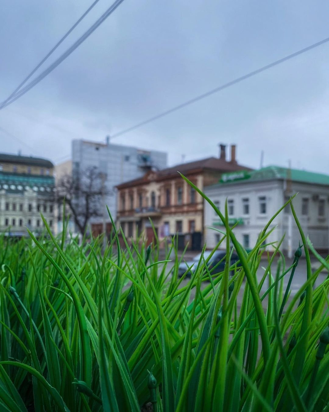 Фото: @garackevich.irina
