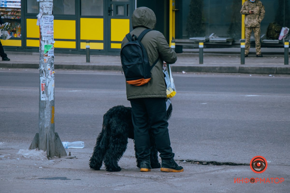Поздравлять хозяйку Поздравлять хозяйку