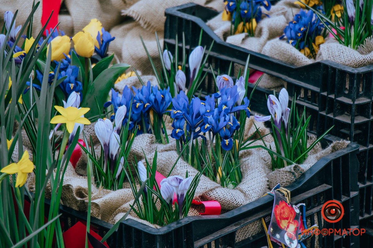 Бросить все и начать продавать цветы Бросить все и начать продавать цветы