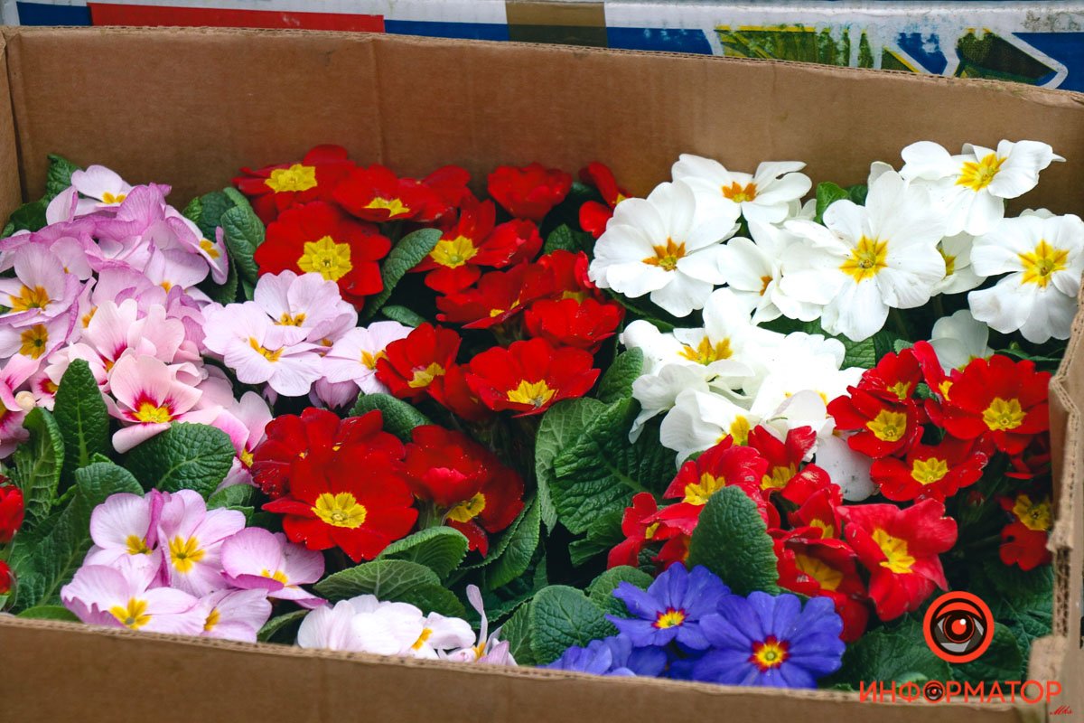 В горшочках - самое то В горшочках - самое то