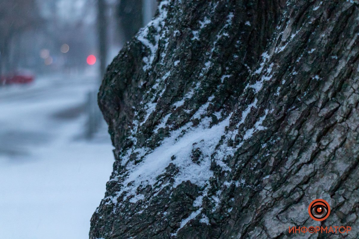 Вы знаете, у кого самые крутые фото