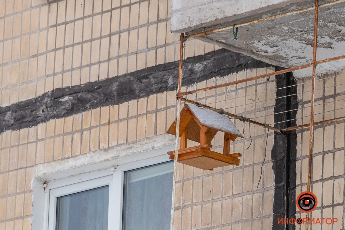 В холода важно подкармливать птиц