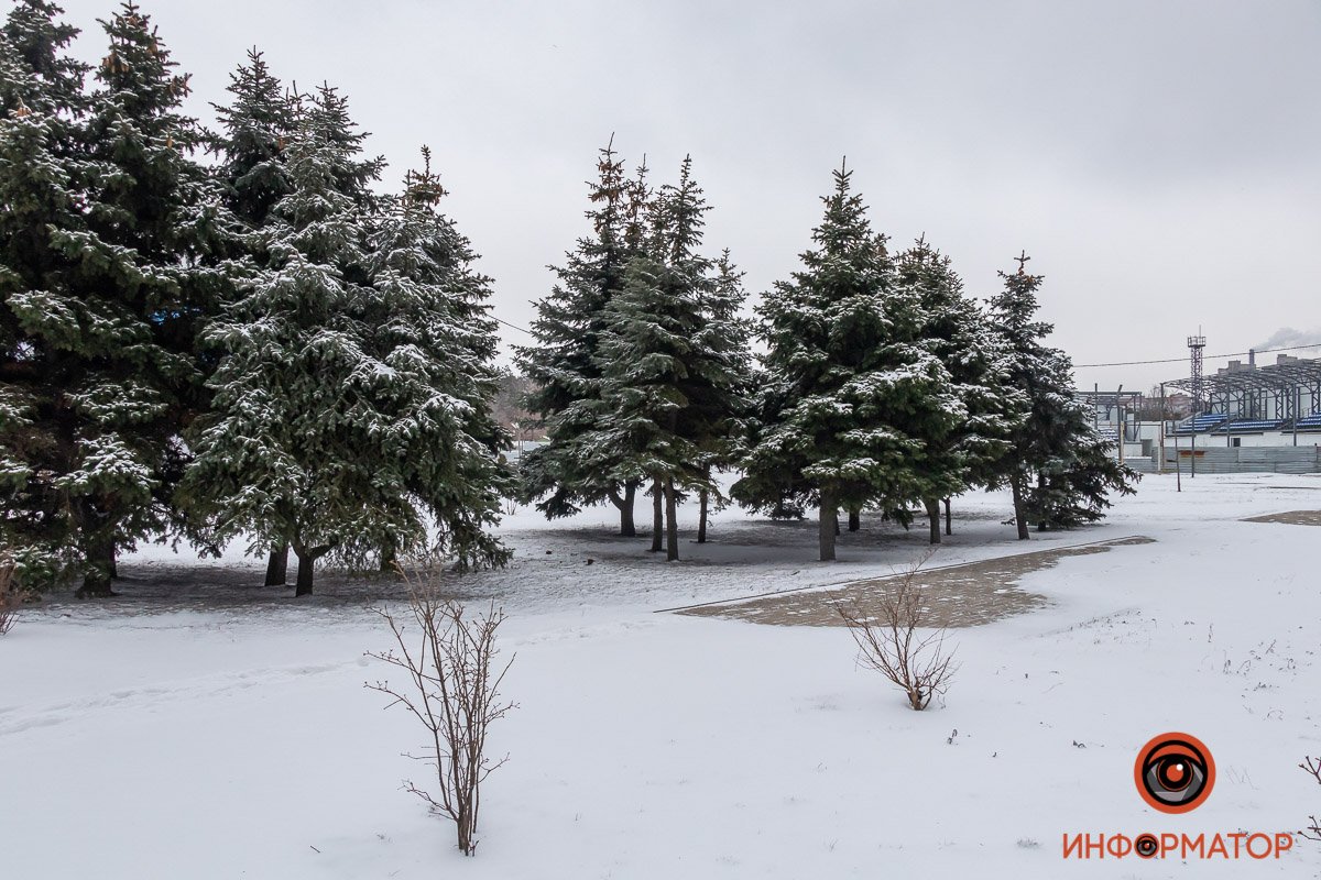 Хоть ставь на обои рабочего стола