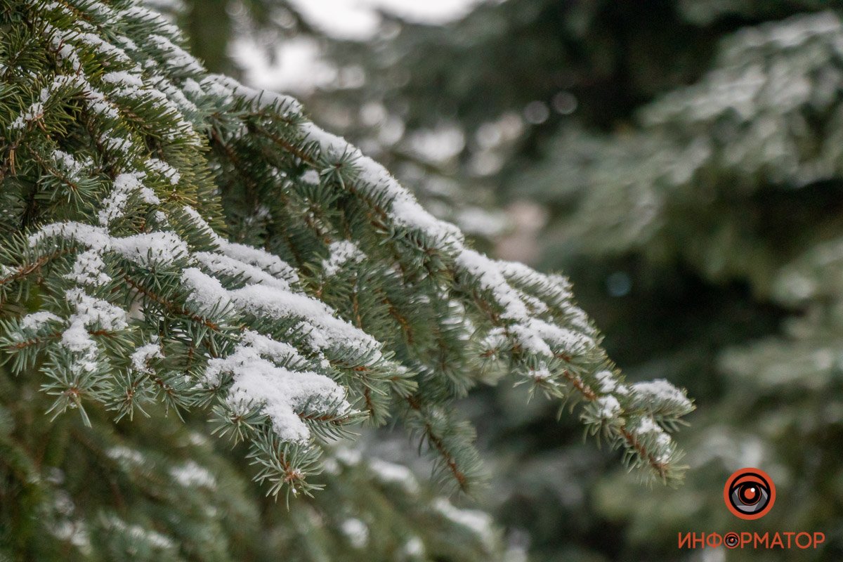 Фото: Влад Лестев
