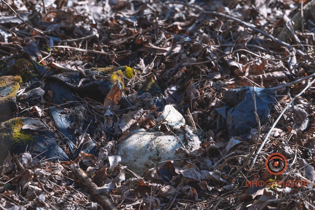 Труп заметили пару дней назад Труп заметили пару дней назад