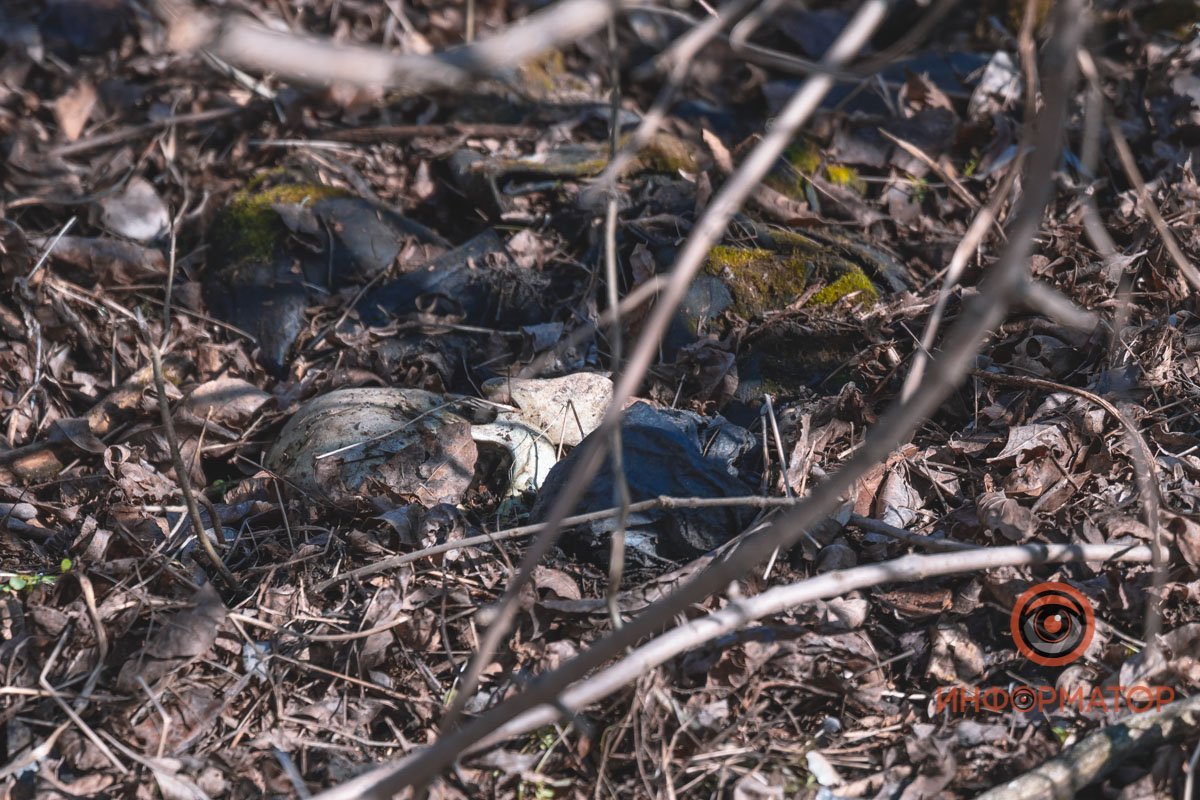 К месту вызвали полицию К месту вызвали полицию