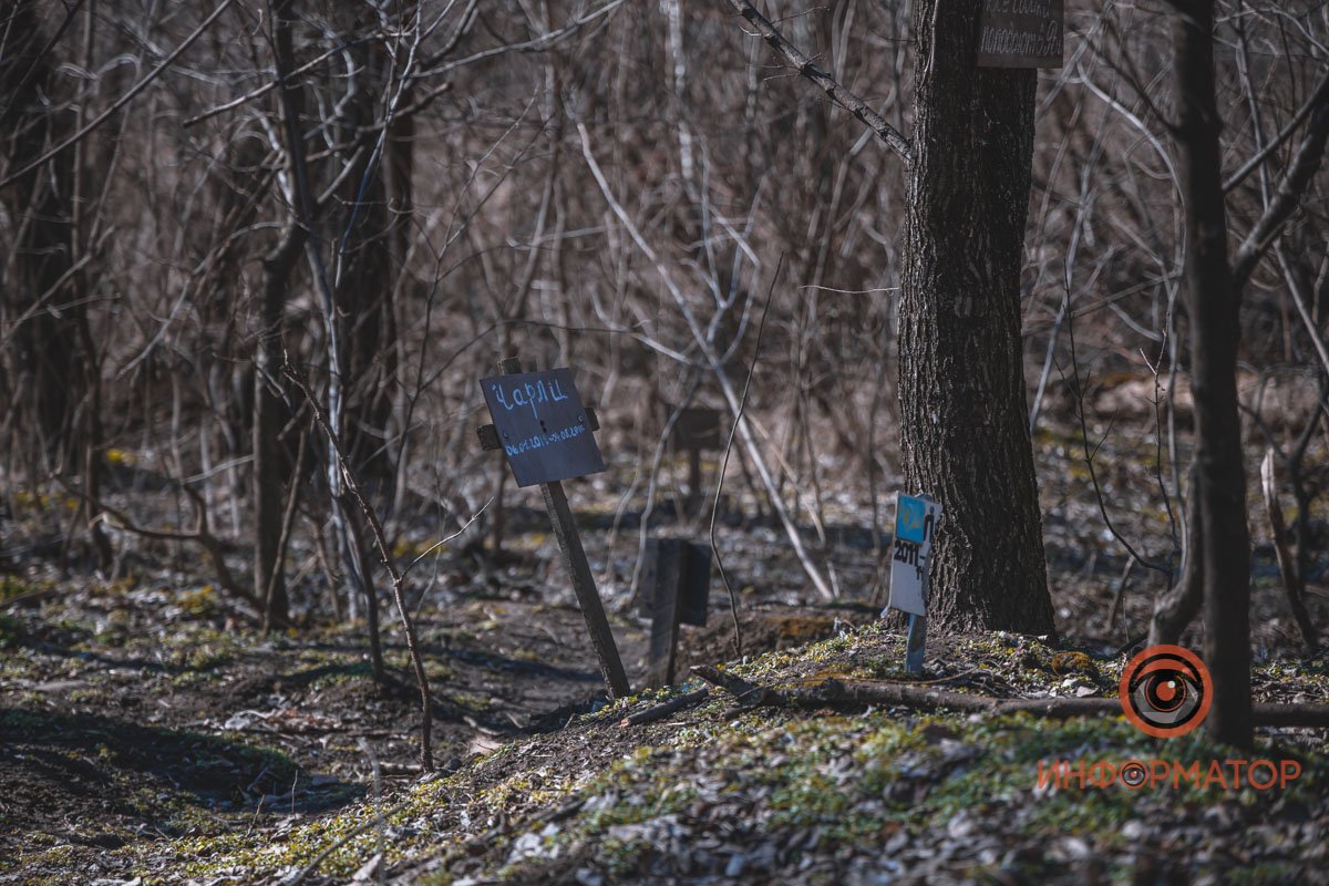 Рядом кладбище Рядом кладбище