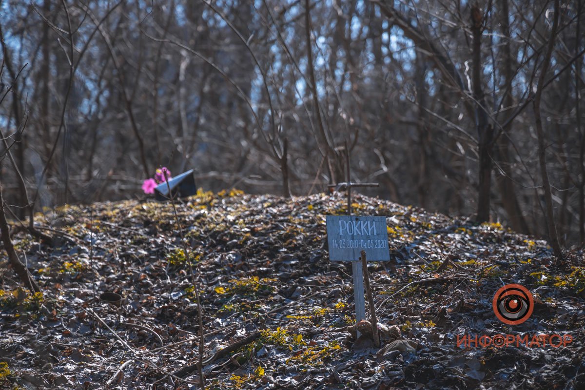 Тут хоронят домашних животных Тут хоронят домашних животных
