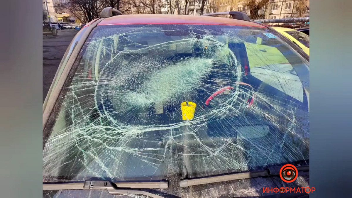 Животное выжило, но повредило лапку Животное выжило, но повредило лапку