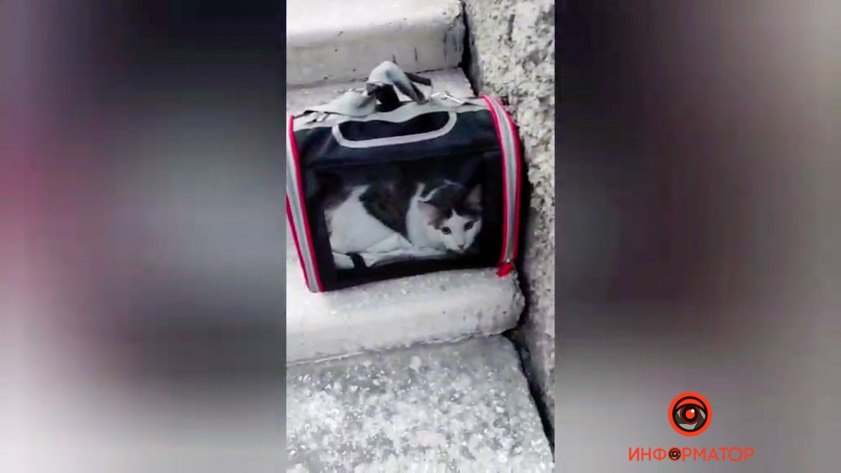 Предполагаемый виновник аварии Предполагаемый виновник аварии