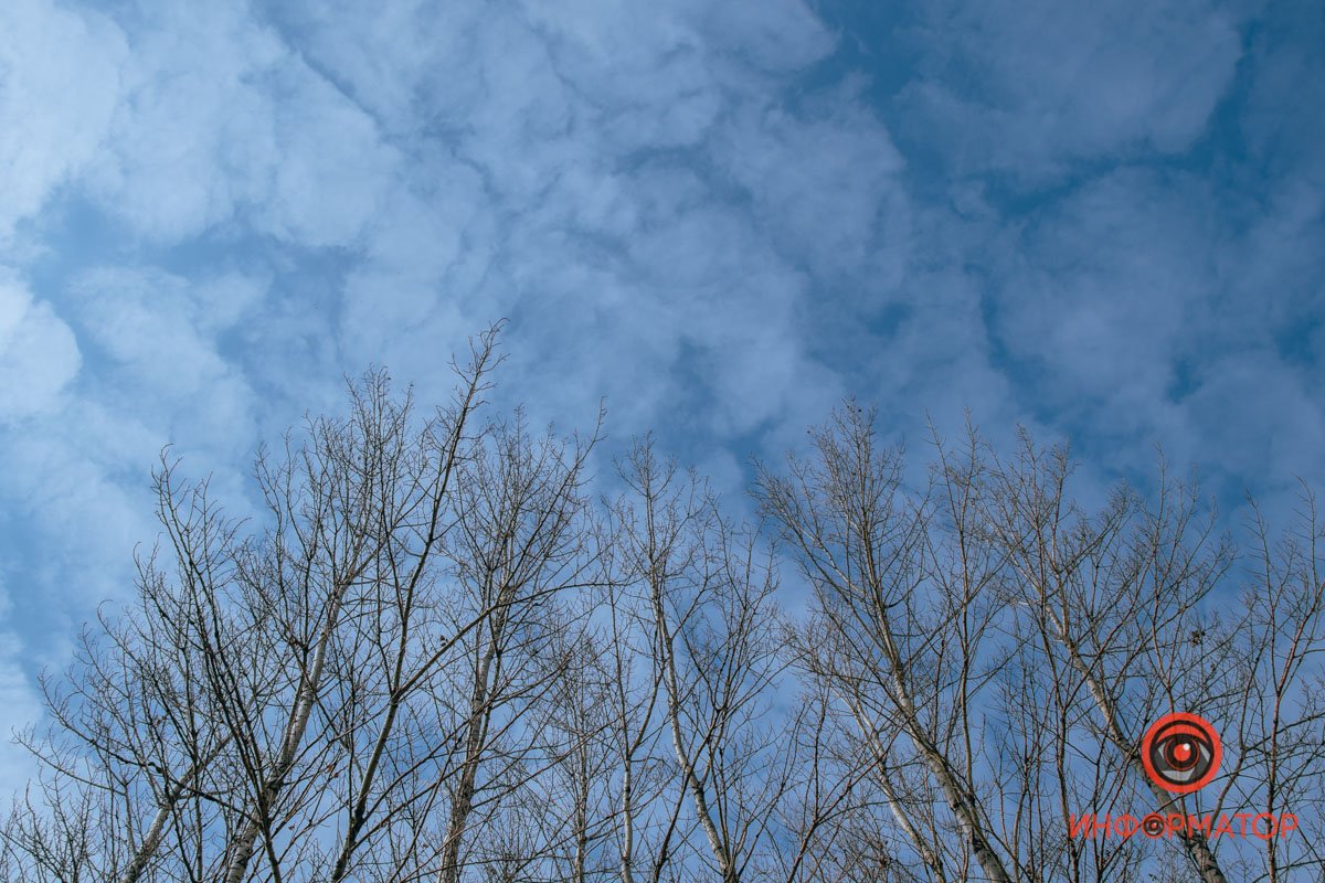 Весна просыпается