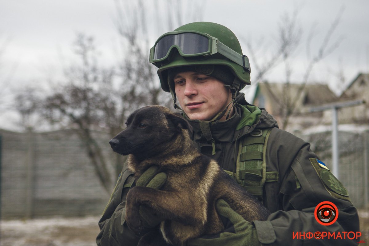 Животные ищут дом: где в Днепре найти себе кота или собаку 7