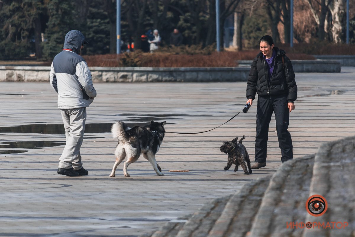 Встретил друга